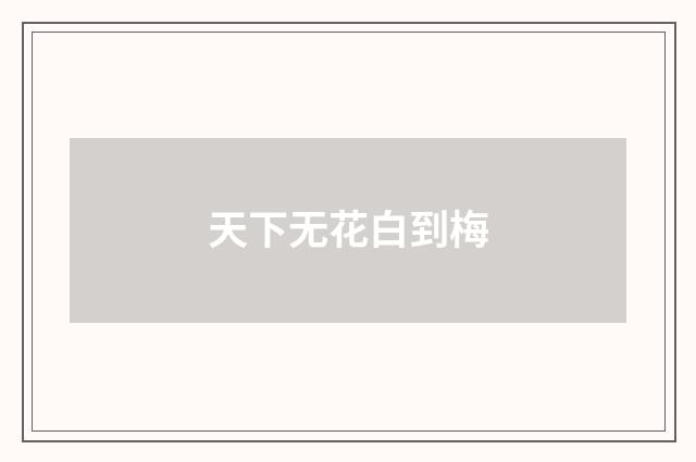 天下无花白到梅