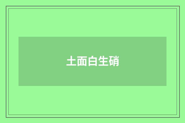 土面白生硝