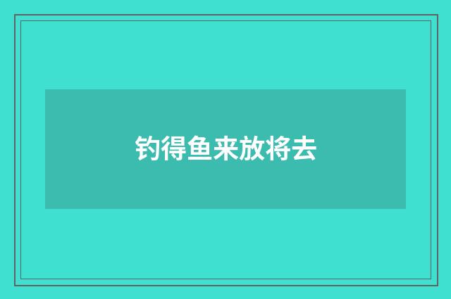 钓得鱼来放将去