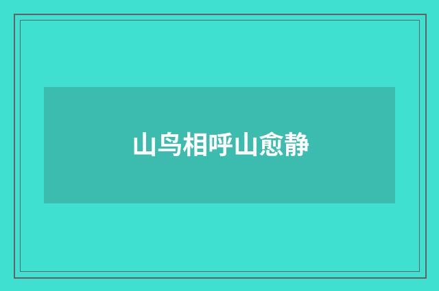山鸟相呼山愈静