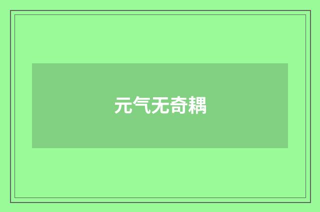 元气无奇耦
