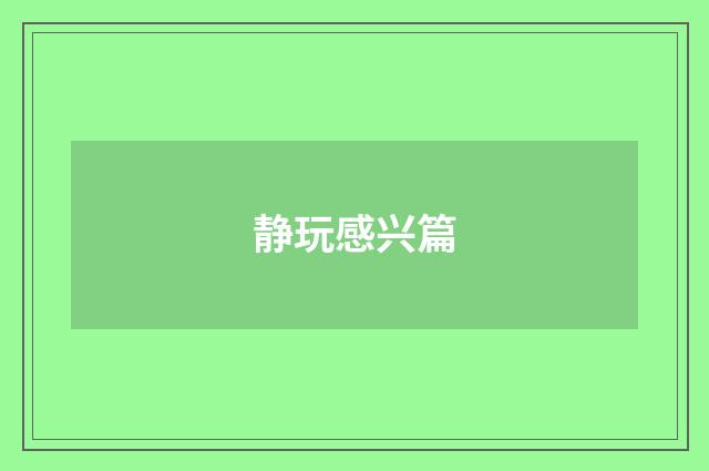 静玩感兴篇