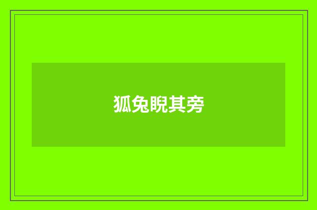狐兔睨其旁