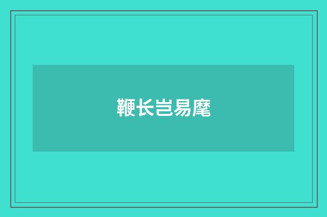 鞭长岂易麾
