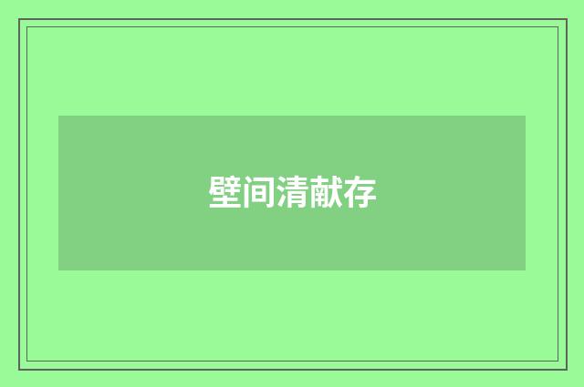 壁间清献存