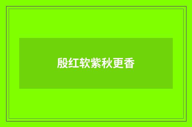 殷红软紫秋更香