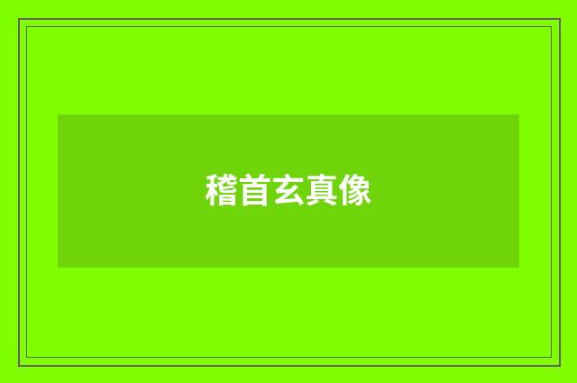 稽首玄真像