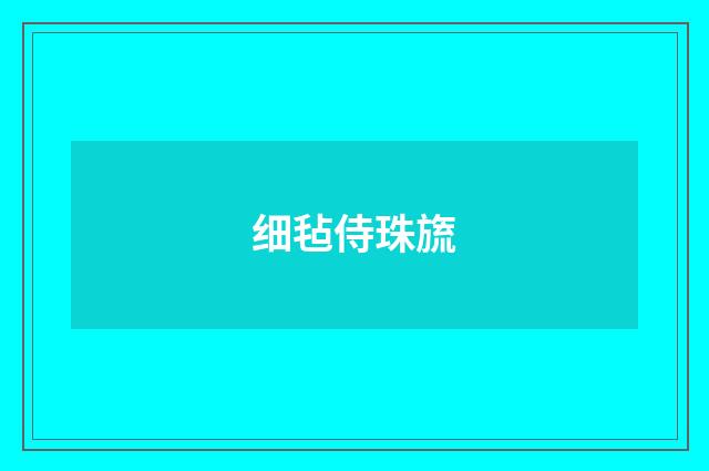 细毡侍珠旒
