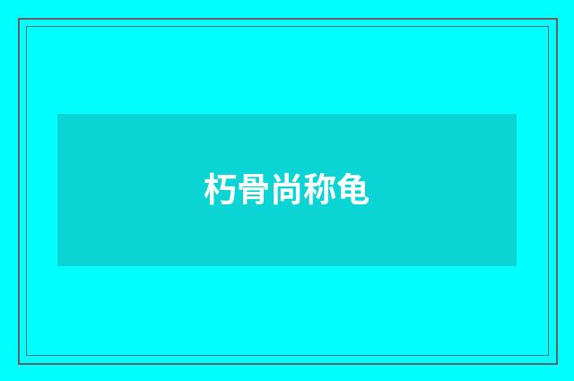 朽骨尚称龟