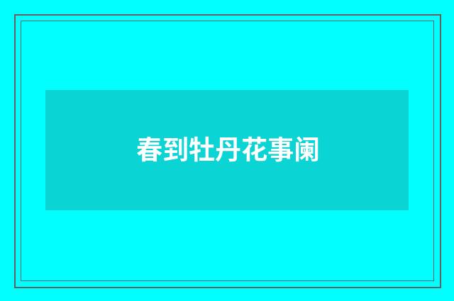 春到牡丹花事阑