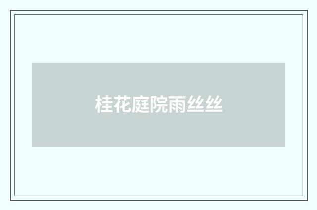 桂花庭院雨丝丝