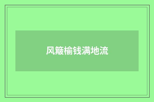 风簸榆钱满地流