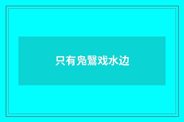 只有凫鷖戏水边