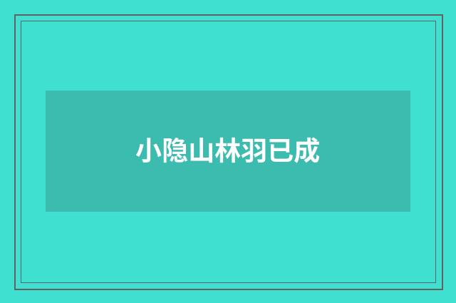 小隐山林羽已成