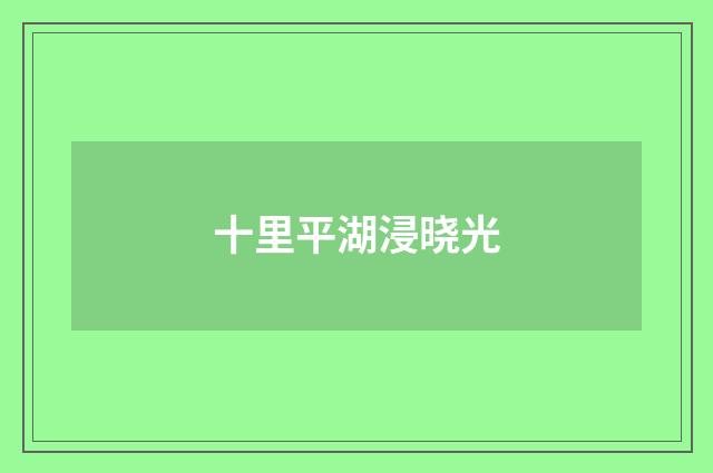 十里平湖浸晓光
