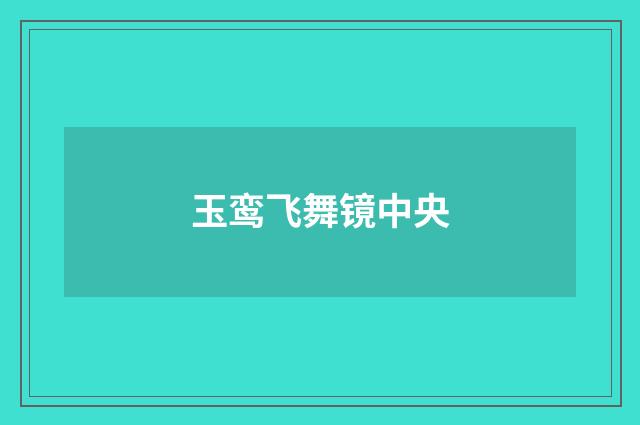 玉鸾飞舞镜中央