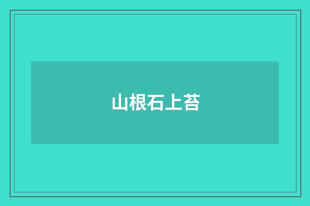 山根石上苔
