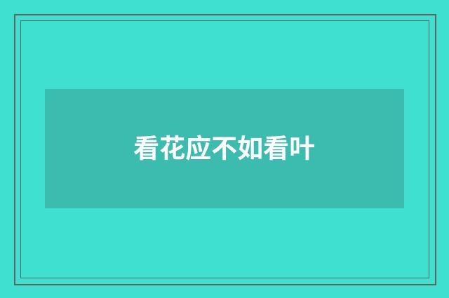 看花应不如看叶
