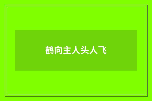 鹤向主人头人飞