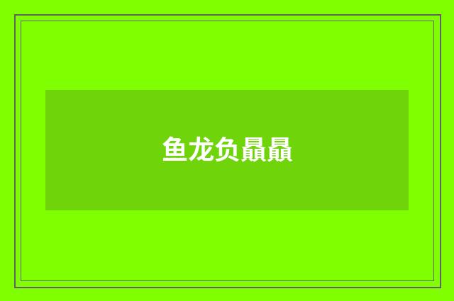 鱼龙负贔贔
