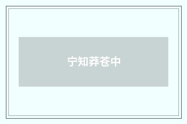 宁知莽苍中