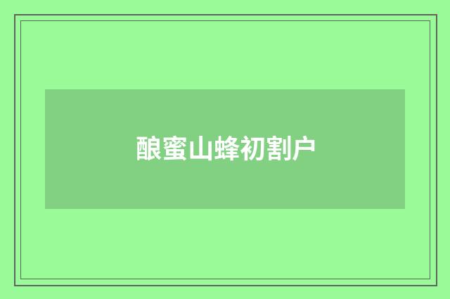 酿蜜山蜂初割户