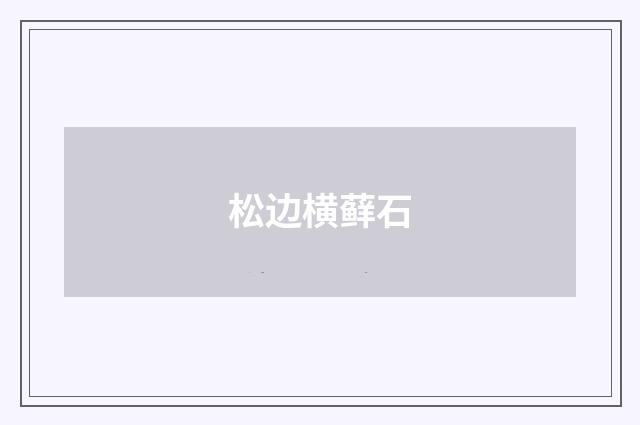 松边横藓石