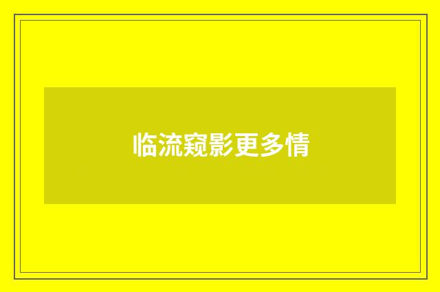 临流窥影更多情