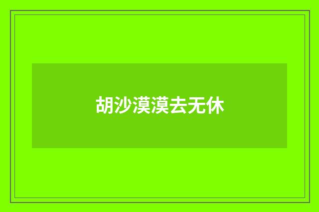胡沙漠漠去无休