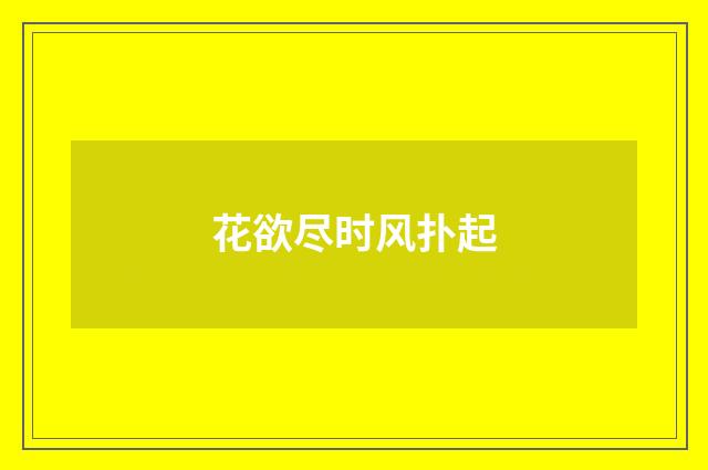 花欲尽时风扑起