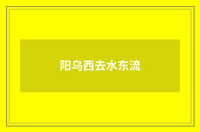 阳乌西去水东流