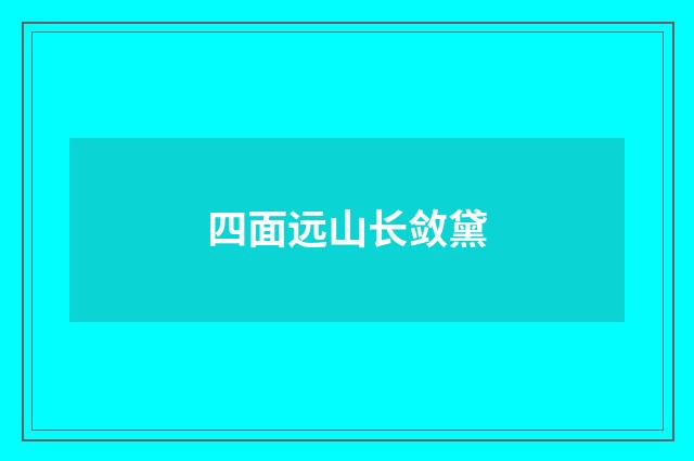 四面远山长敛黛