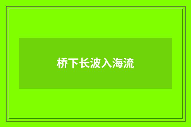 桥下长波入海流