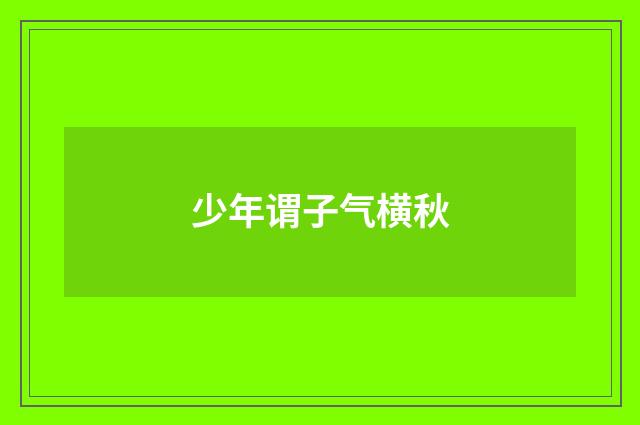 少年谓子气横秋