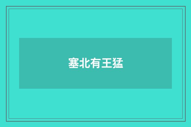 塞北有王猛