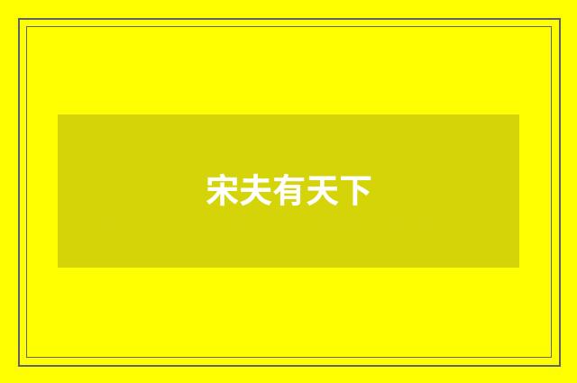宋夫有天下
