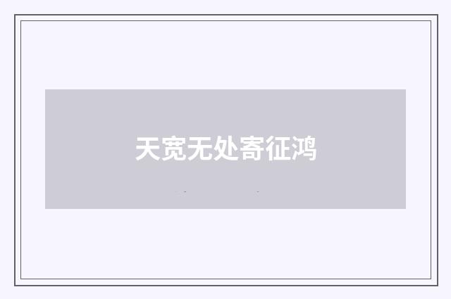 天宽无处寄征鸿