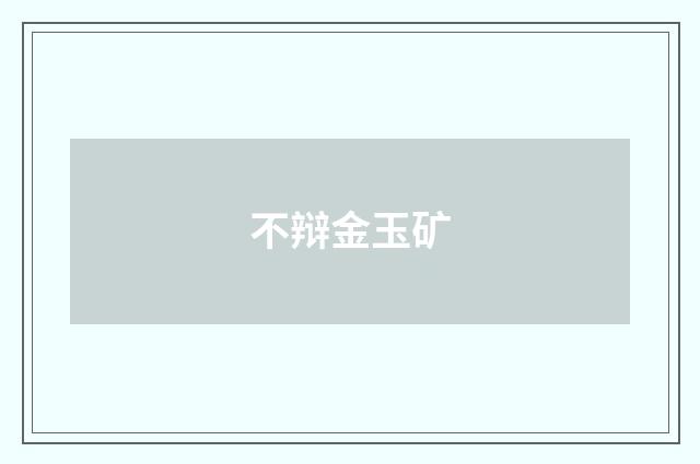 不辩金玉矿