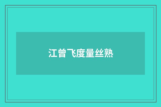 江曾飞度量丝熟