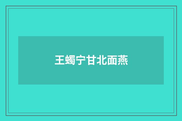 王蠋宁甘北面燕