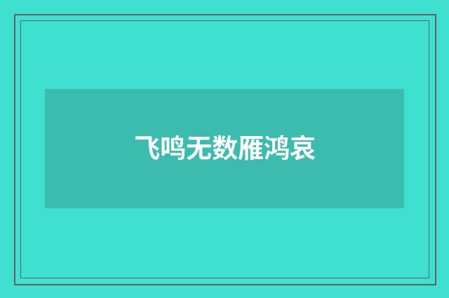 飞鸣无数雁鸿哀