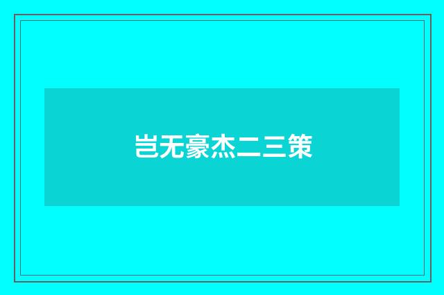 岂无豪杰二三策