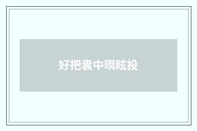 好把囊中暝眩投