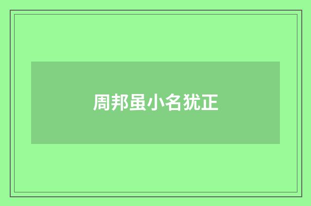 周邦虽小名犹正