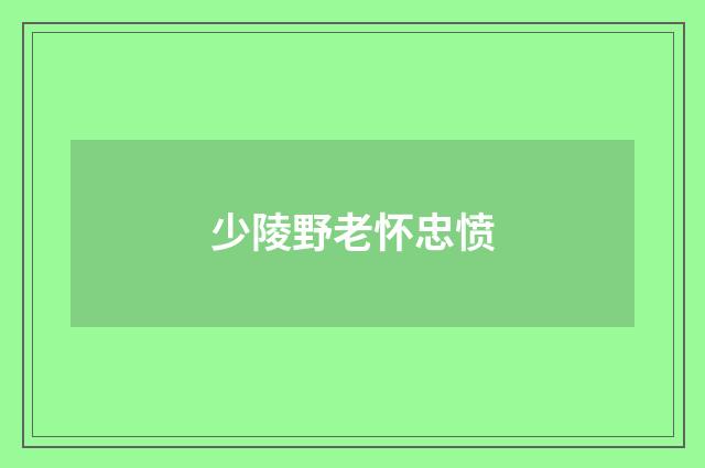 少陵野老怀忠愤