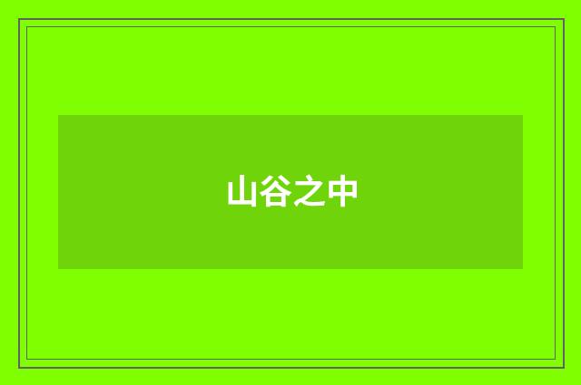山谷之中