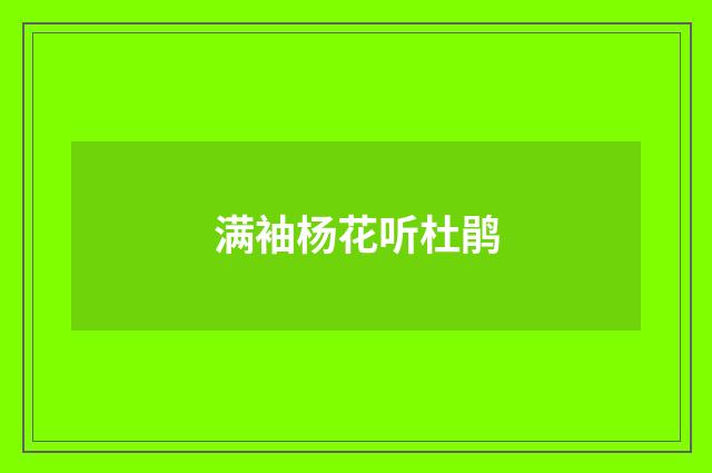 满袖杨花听杜鹃