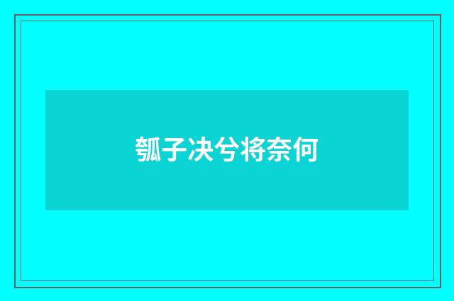 瓠子决兮将奈何