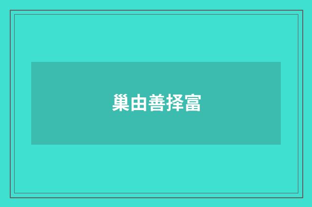 巢由善择富