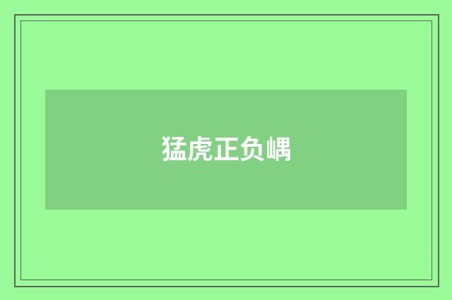 猛虎正负嵎